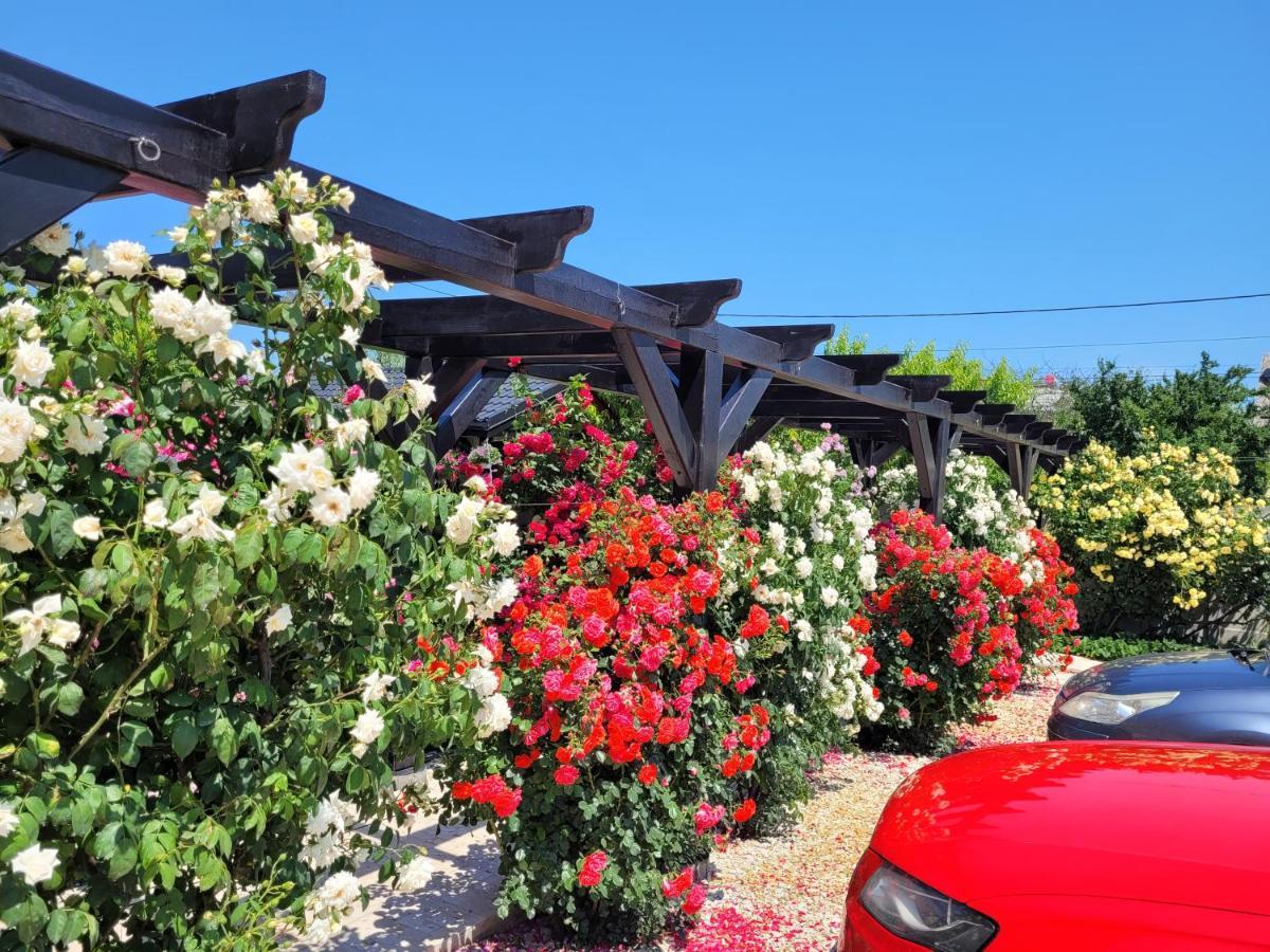 Kys House Hotel Текиргьол Екстериор снимка